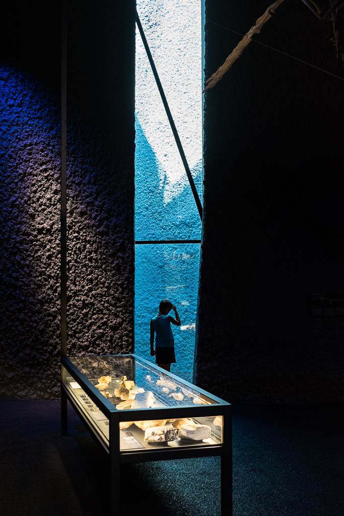 #102 – Museu blau