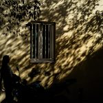 #194 – En sombras hacia lo oscuro