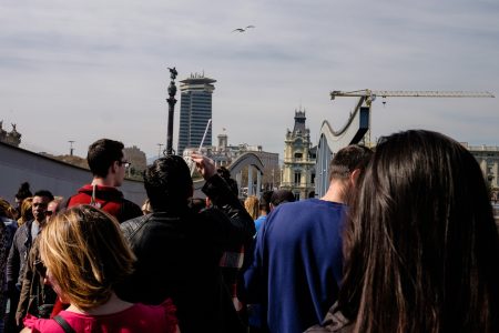 #205 – Disparo a la gaviota